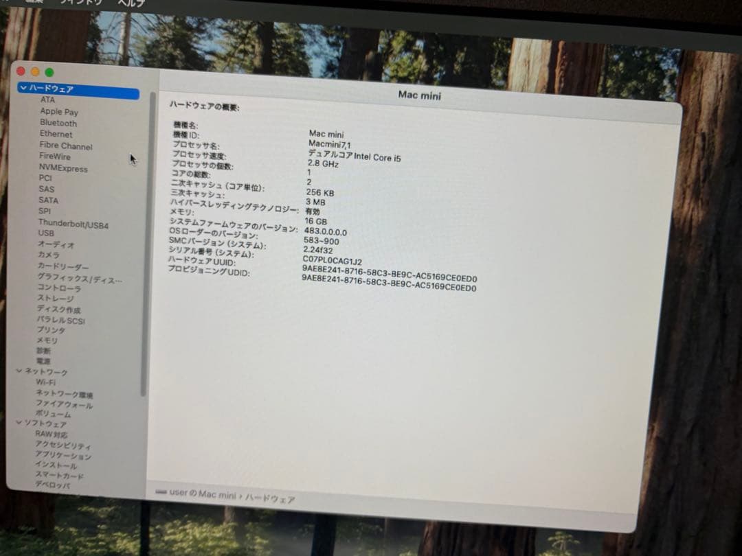 中古 Mac mini (2014) i5-2.8Ghz 16GB 256GB