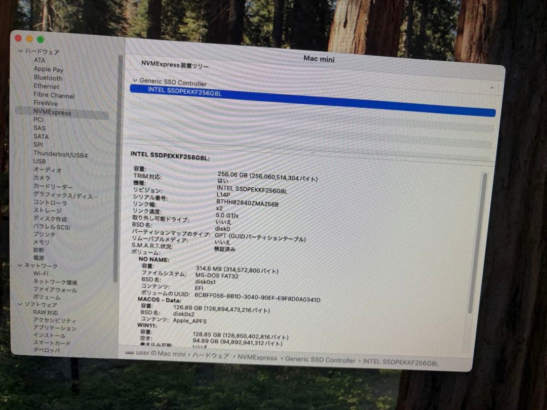 中古 Mac mini (2014) i5-2.8Ghz 16GB 256GB