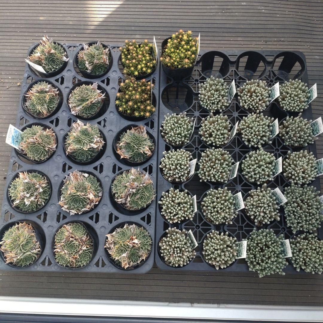 追加あり ガレージMさん専用