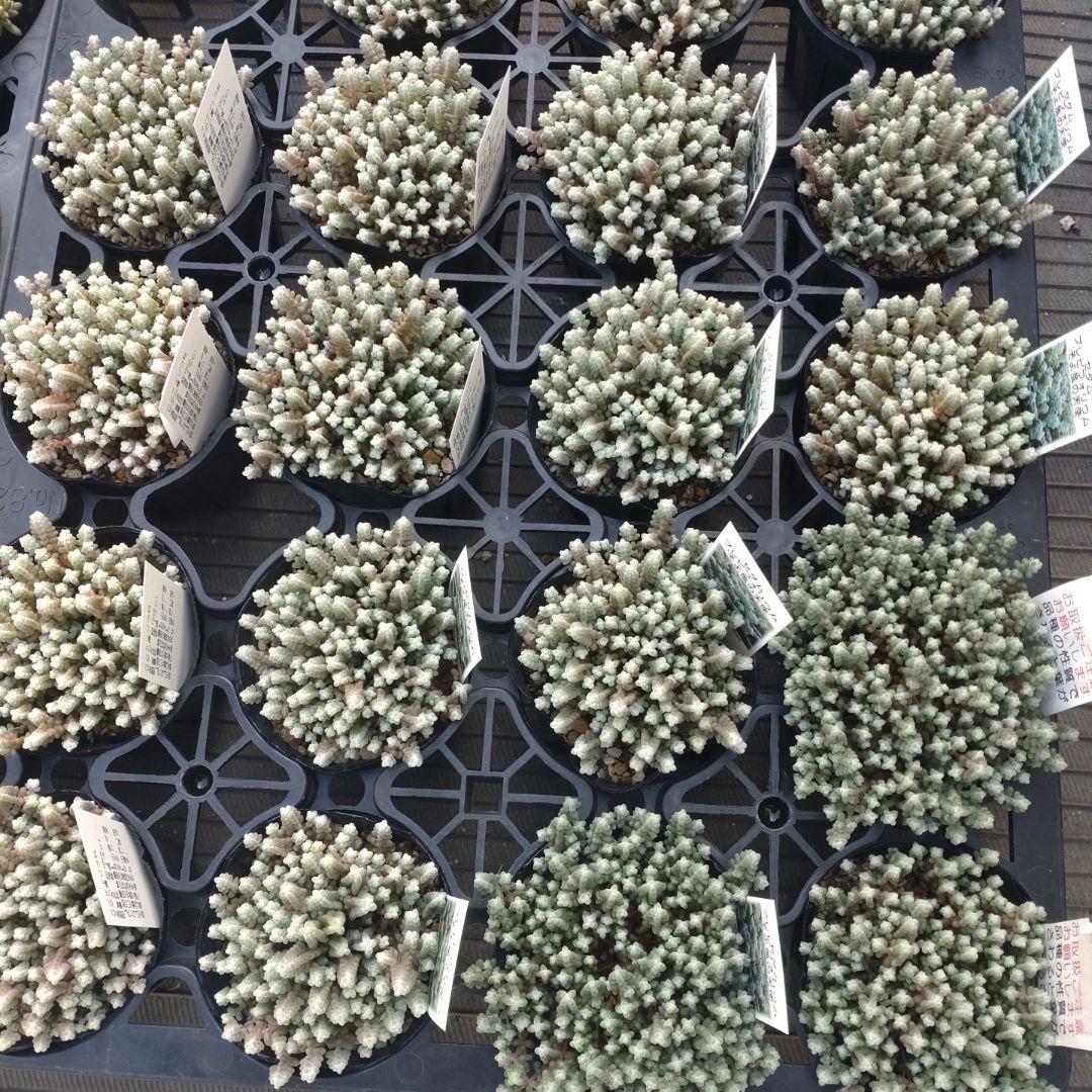 追加あり ガレージMさん専用