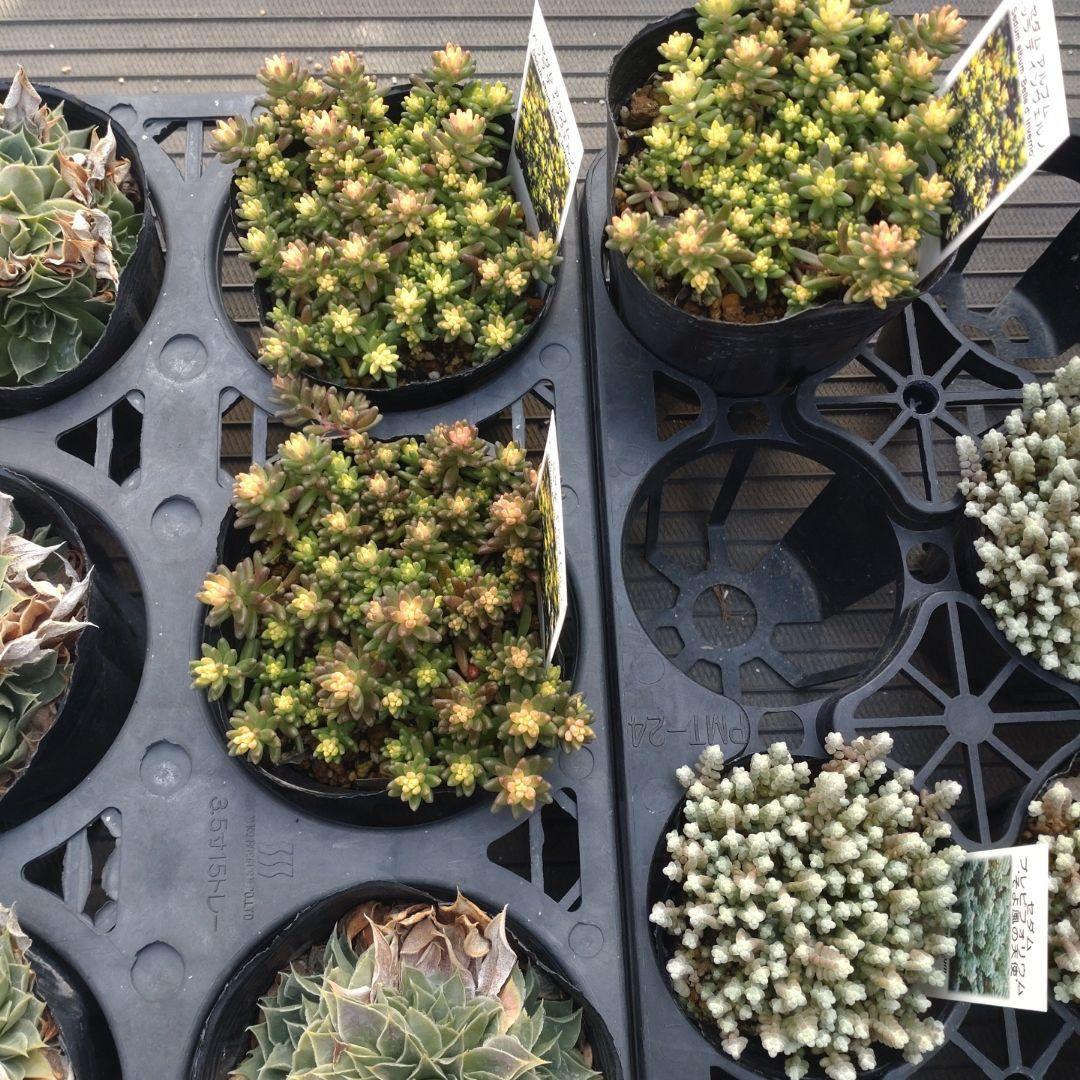 追加あり ガレージMさん専用