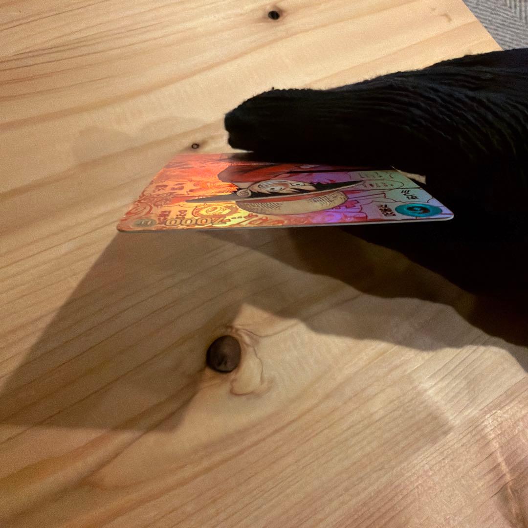 ぴ*す様 レッドコミパラモンキー・D・ルフィ １０万円お値下げしてオークション形