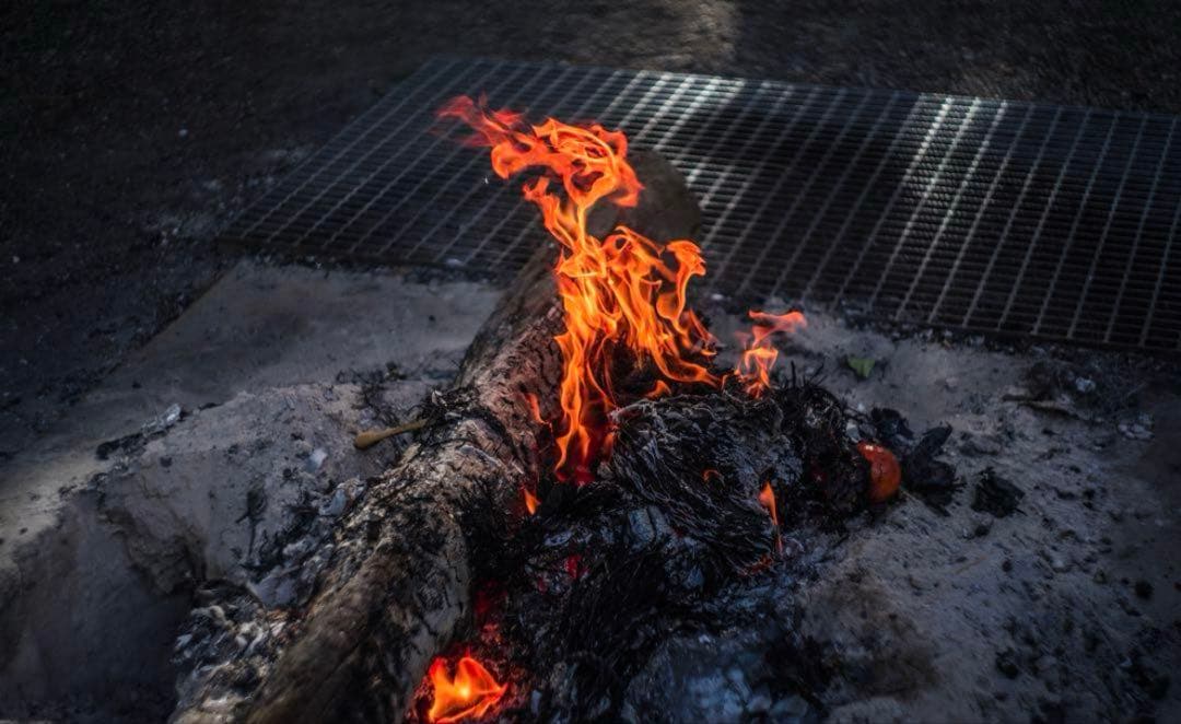 美品+ 分解清掃済 Helios-44-2 58mm f2 ぐるぐるボケ