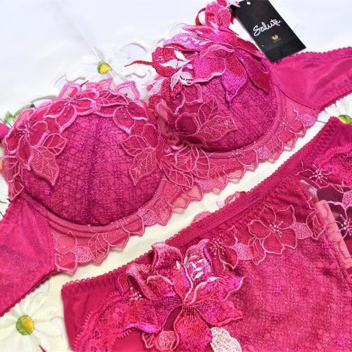 新品・タグ付き☆ワコール☆サルート☆シャンソン☆ＳＧ☆Ｃ６５＆ショーツＭ