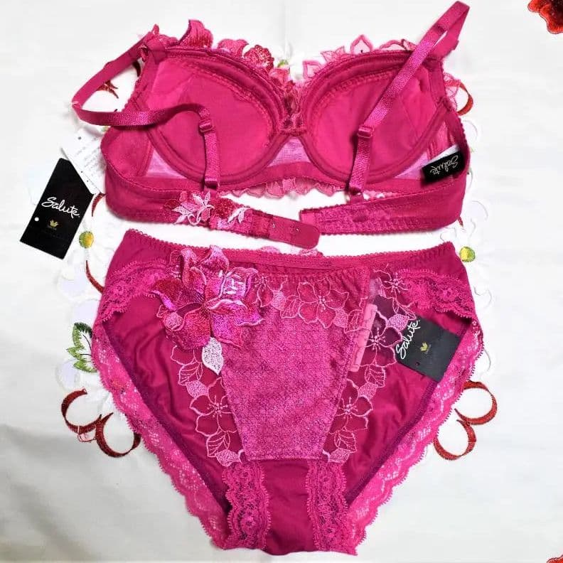 新品・タグ付き☆ワコール☆サルート☆シャンソン☆ＳＧ☆Ｃ６５＆ショーツＭ