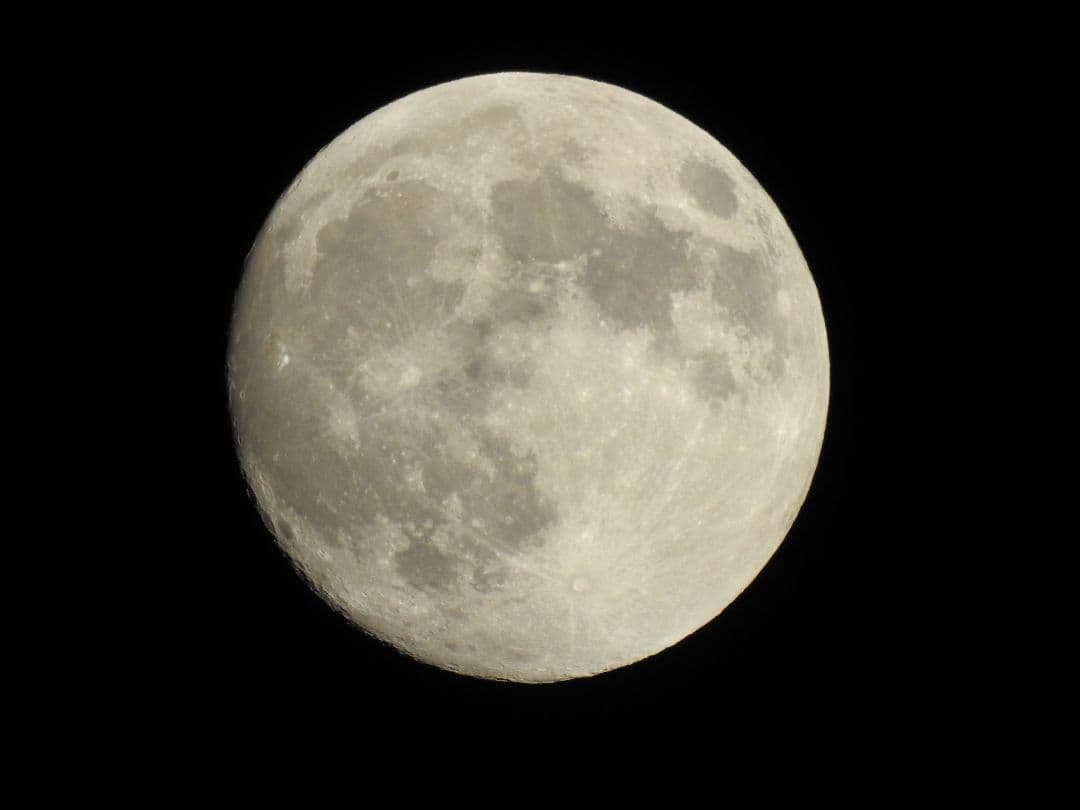 Nikon COOLPIX P900 7/17まで販売中