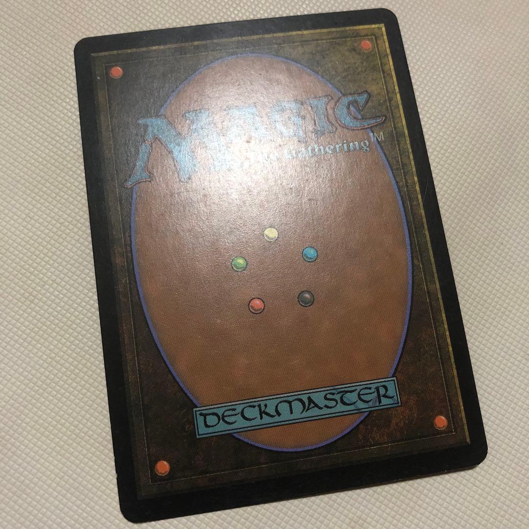 霧深い雨林 溢れかえる岸辺 汚染された三角州 mtg ロシア語 フェッチランド