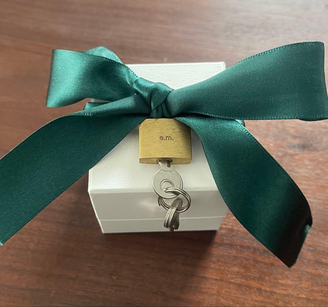 e.m. リング silver925 チェーン 15号