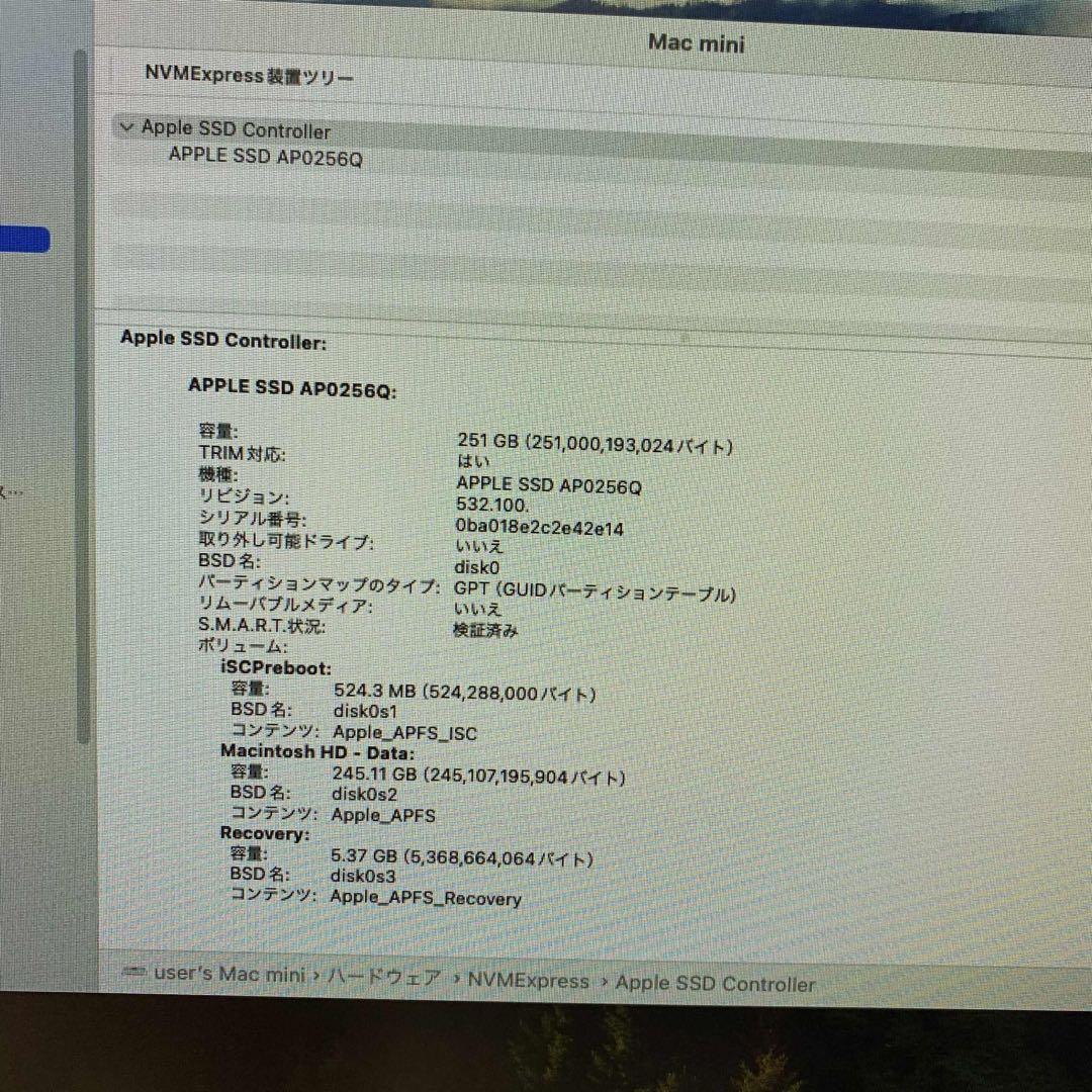 Mac mini 2020 Apple M1 8GB SSD256 デスクトップ