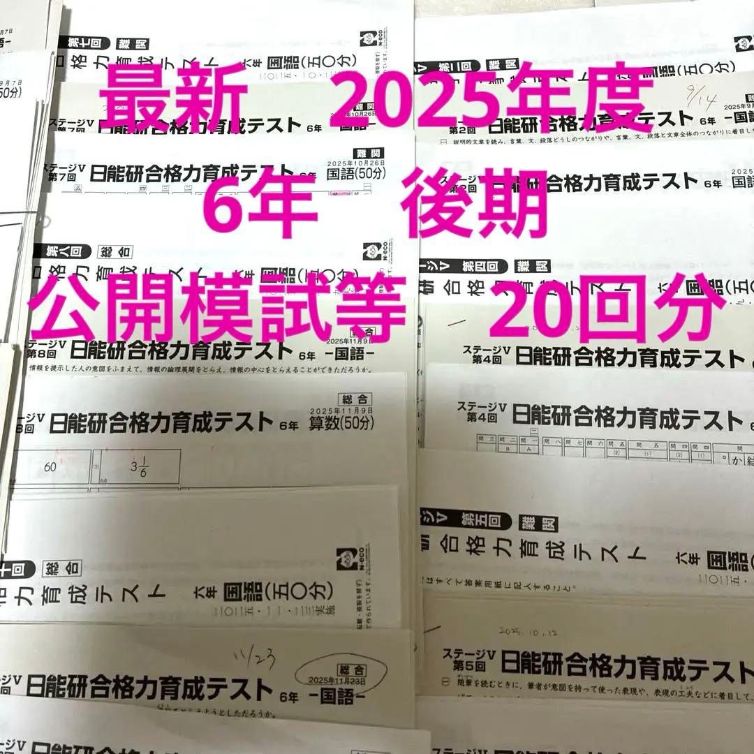 【最新2025年】日能研6年 後期　20回分　公開模試　育成テスト　入試実践模試