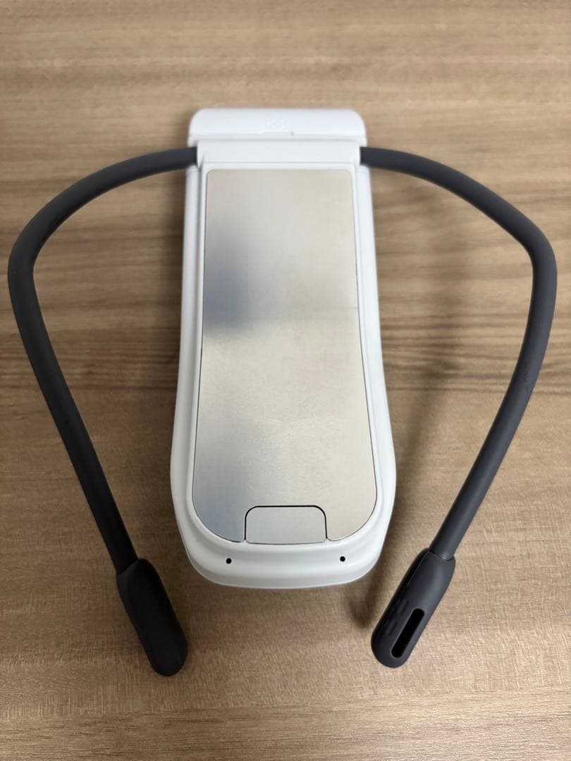 REON POCKET PRO RNPK-P1+別売純正ケース付 五年保証付