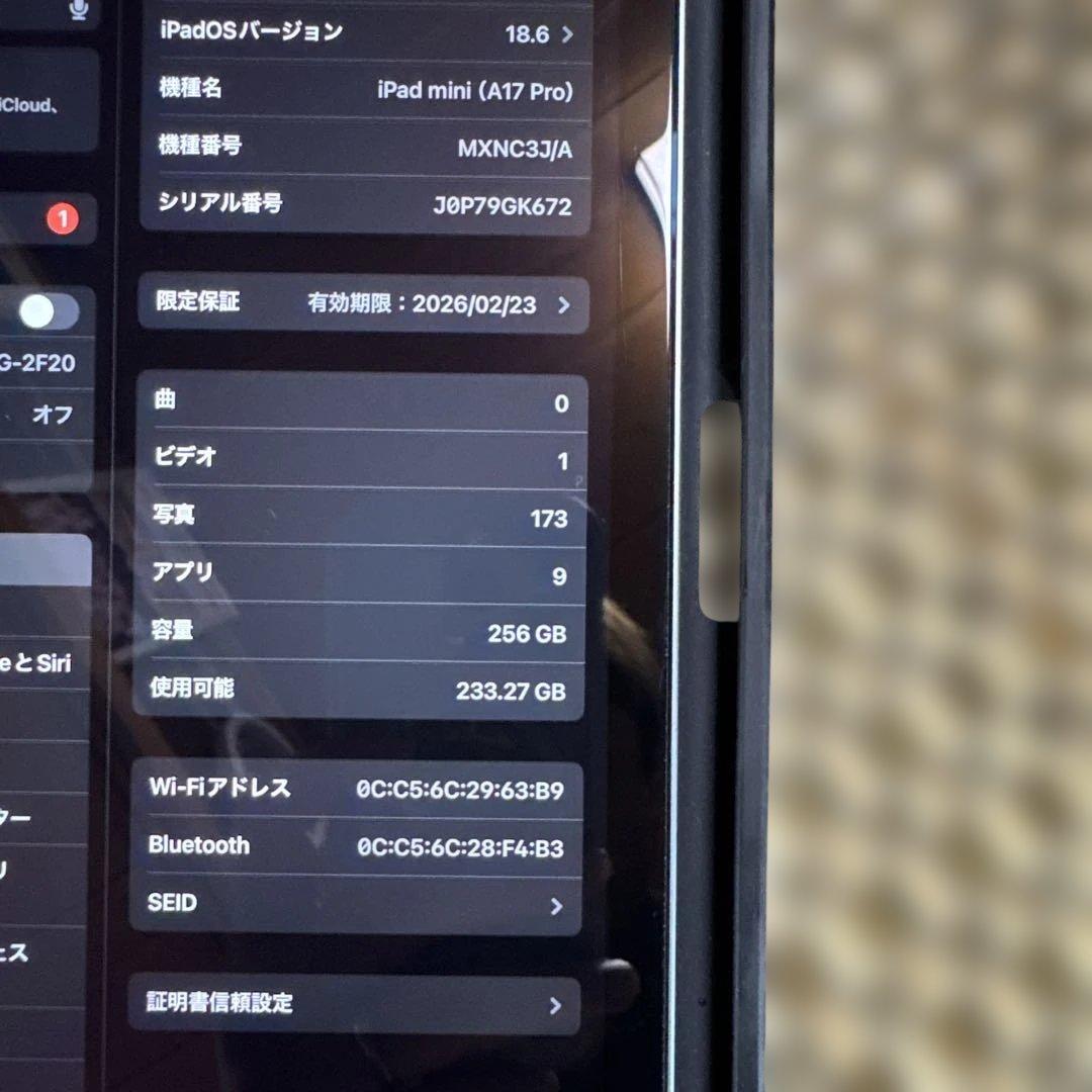 美品　iPad mini (A17 Pro) 256GB 7世代