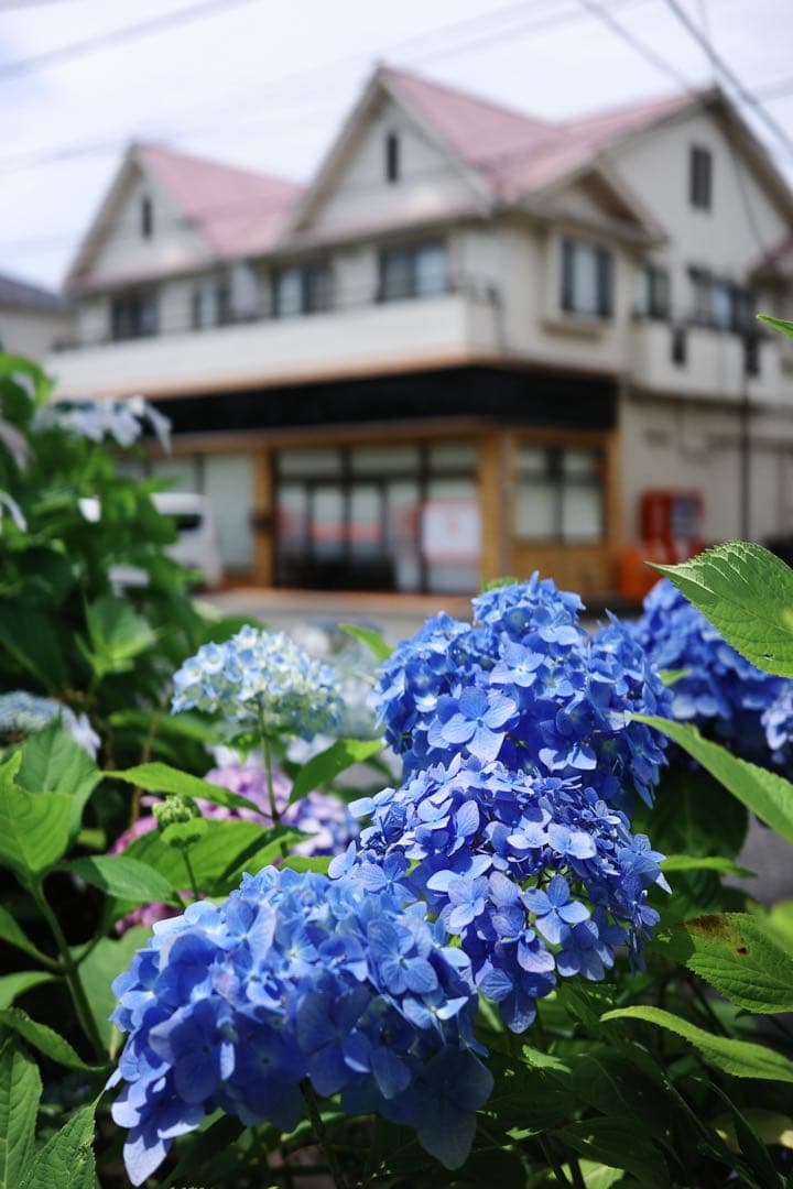 RICOH GR3x Urban Edition (カット数1353、作例あり)