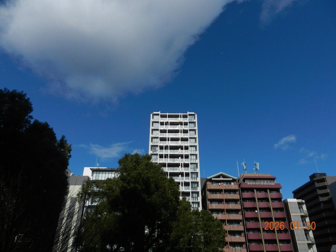 【スマホ転送OK】ニコン Nikon COOLPIX S9100 ゴールド