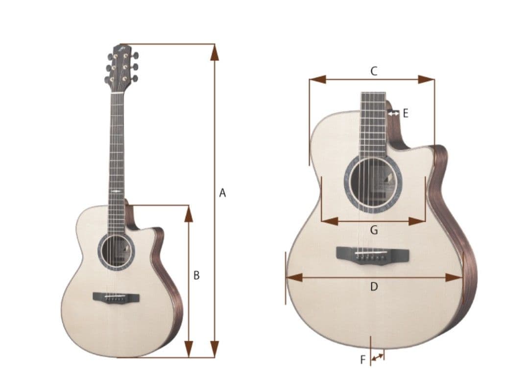 Morris F-20 アコースティックギター ソフトケース付き 美品 送料無料