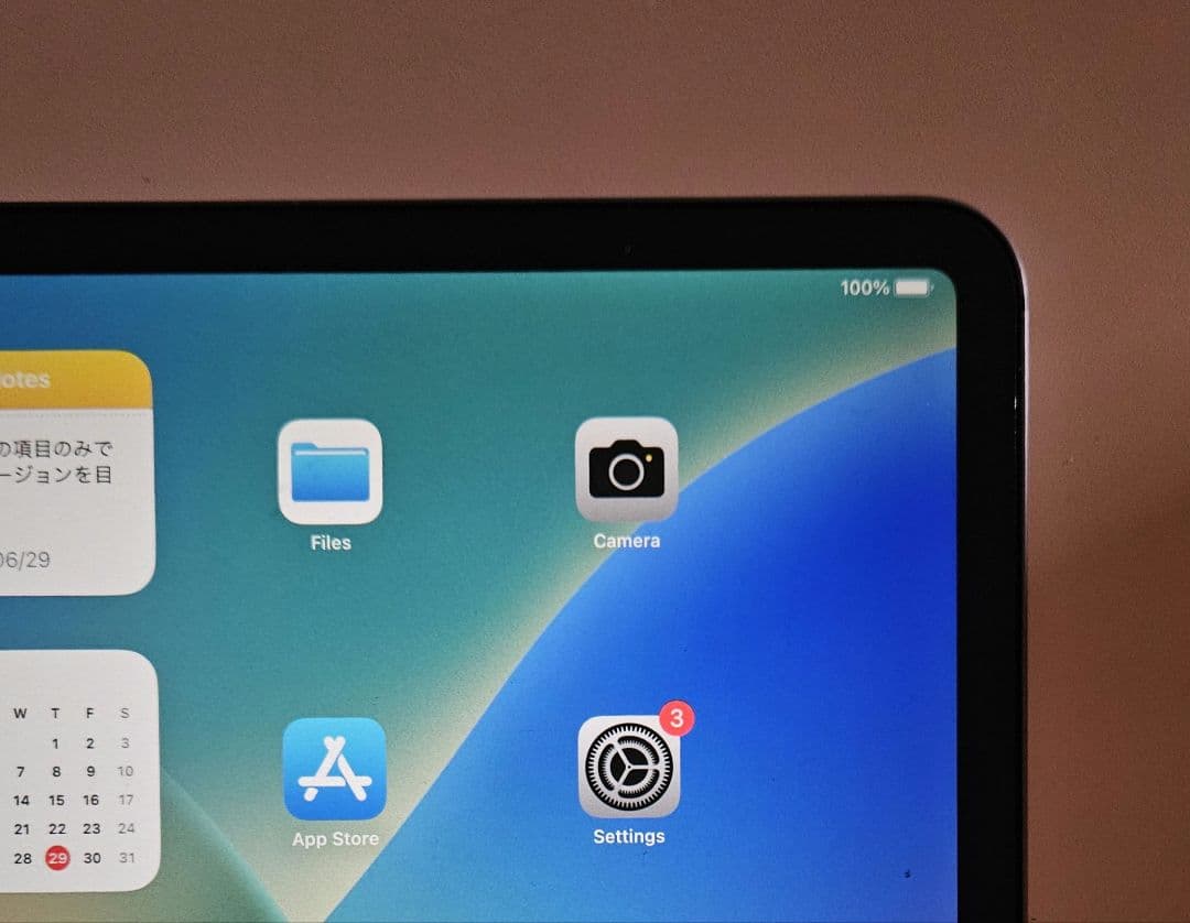 iPad Pro 12.9インチ (第3世代) 64GB SIMフリー【美品】