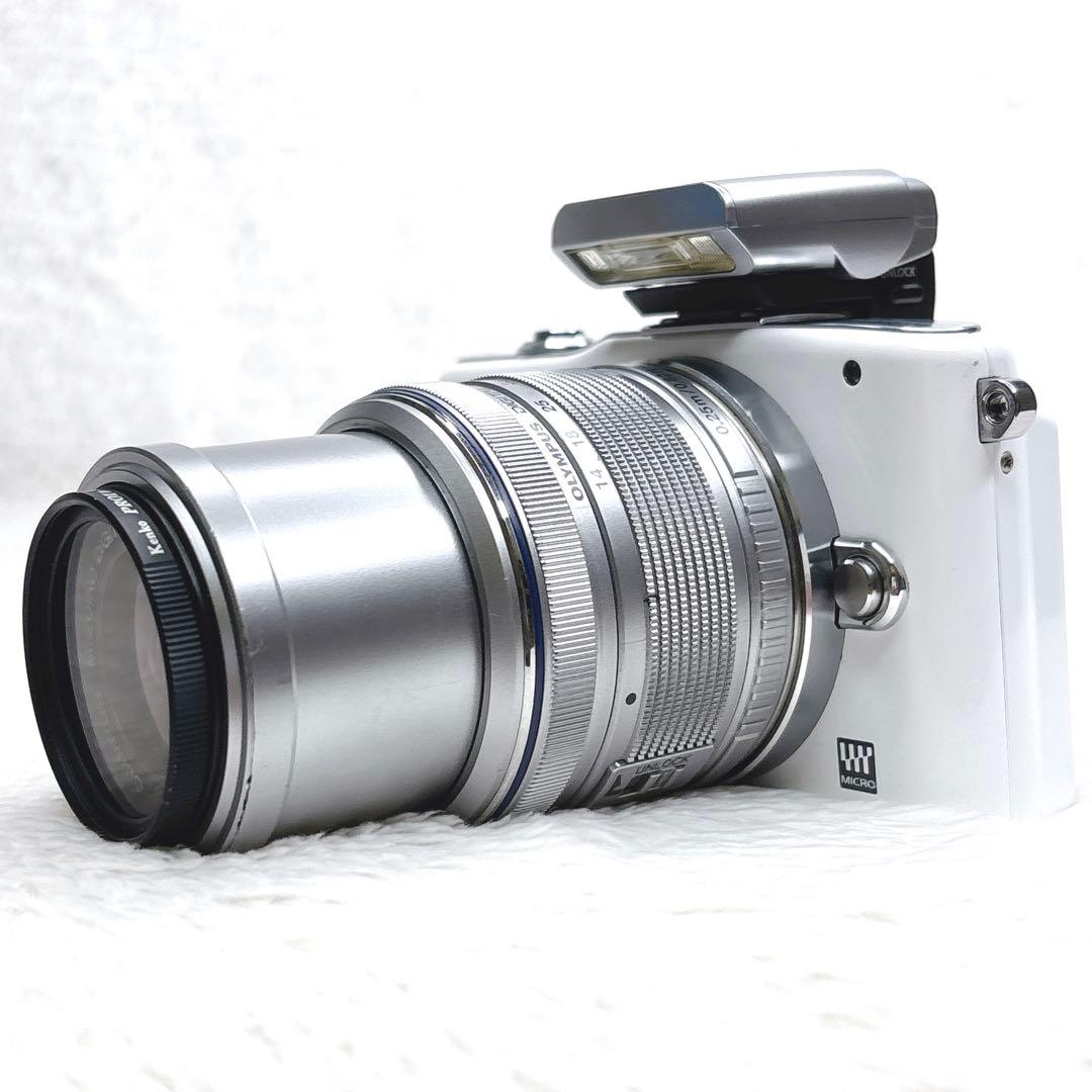 OLYMPUS PEN mini E-PM1 動作確認済 ミラーレス一眼