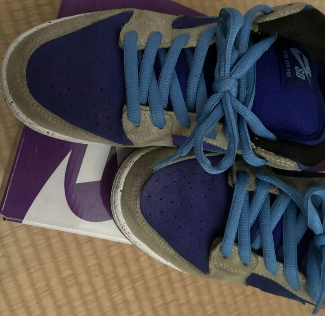 Nike Sb Dunk Low ナイキ エスビー ダンク ロー 27cm