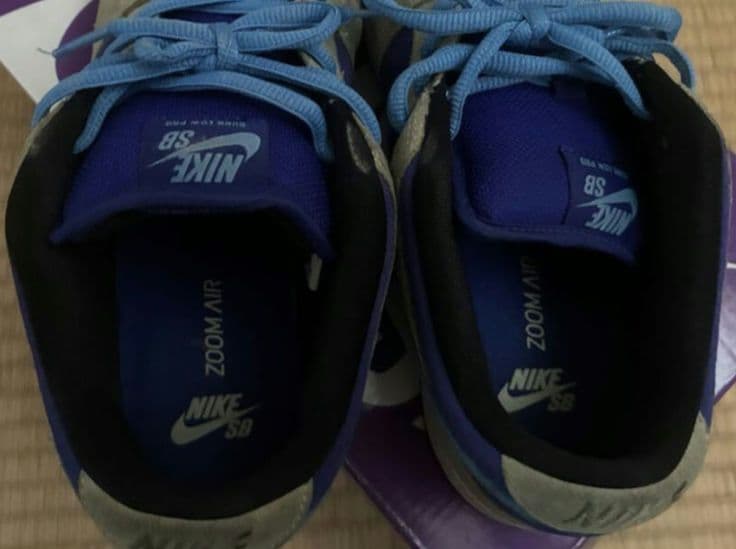 Nike Sb Dunk Low ナイキ エスビー ダンク ロー 27cm