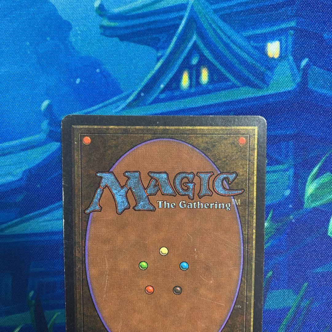 (shopsクーポン配布中)MTG Tropical 