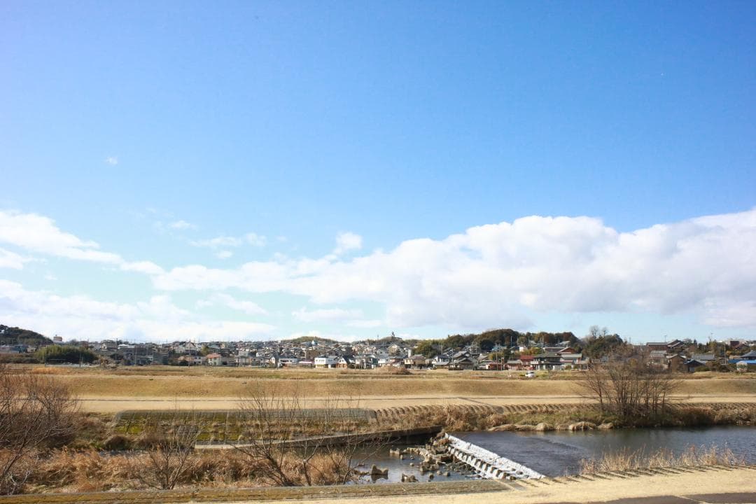 【整備済/完動品】Nikon AI改 NIKKOR-N・C 24mm f2.8