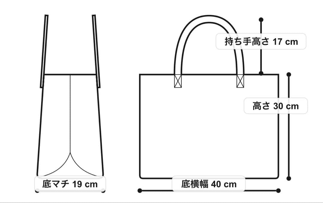 LeSportsac×Ameri DX MedWeekender