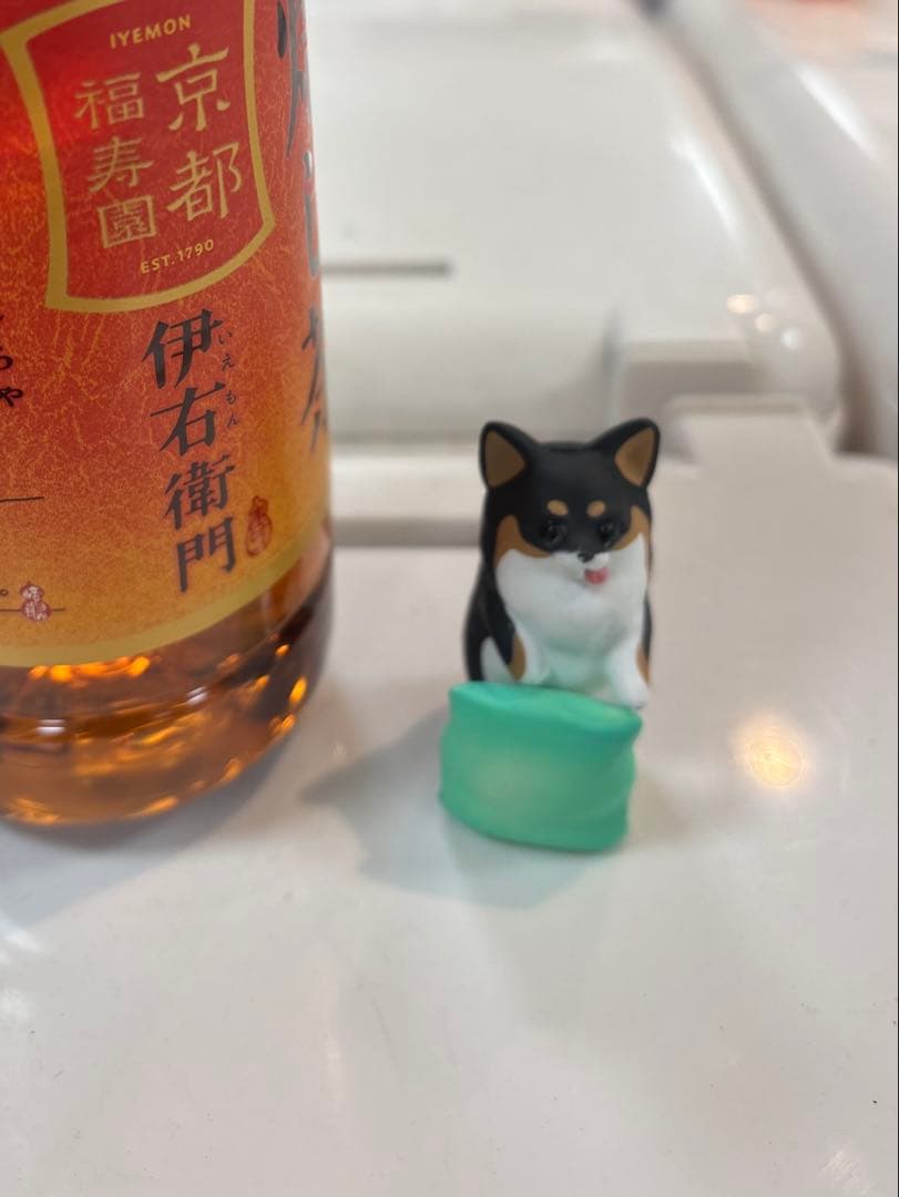 300円企画　告知ポケカ