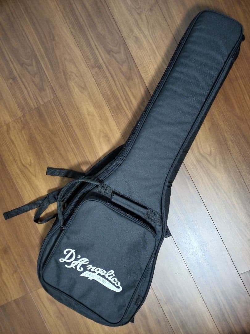 ほぼ未使用 D'angelico Premier Brighton Mod