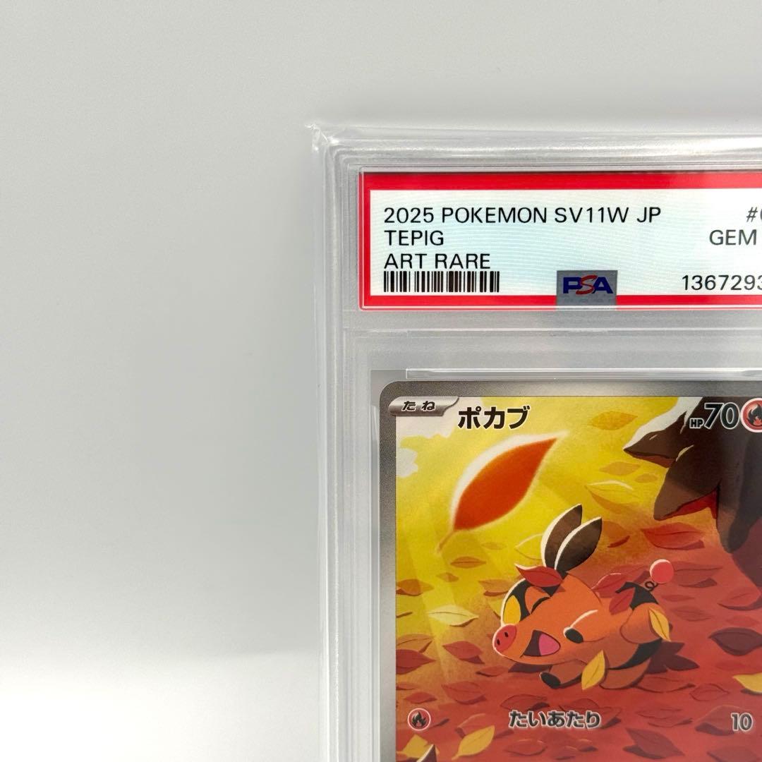 【PSA10】ポカブ　AR