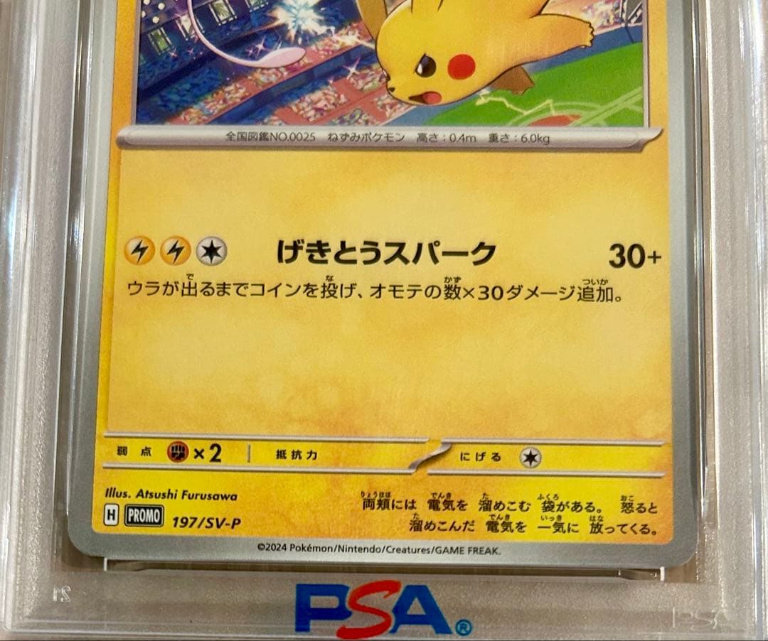 【PSA10】ピカチュウ：ジムイベント PROMO SV-P