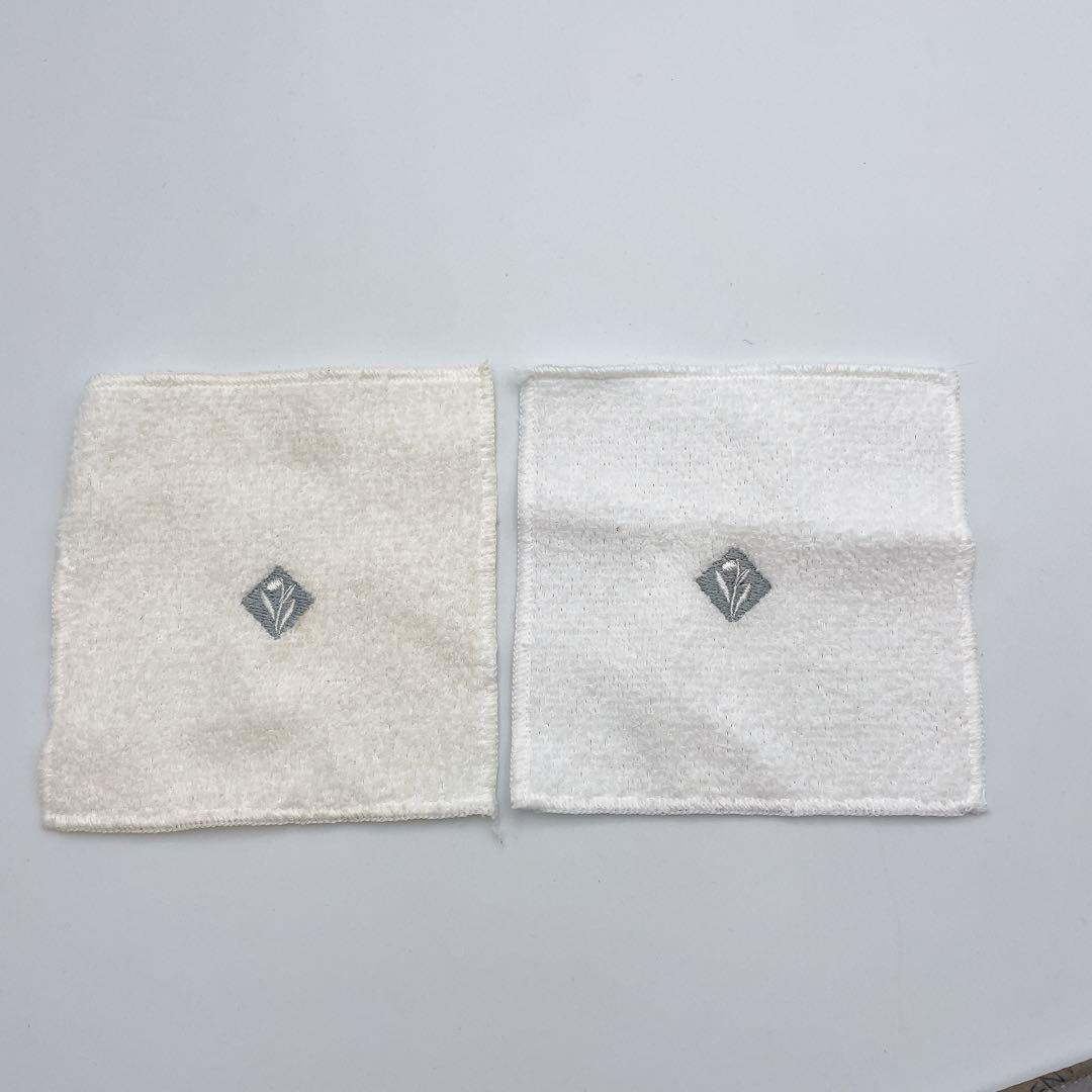 美品✨エレクトロソニック ＤＦモバイルスキンケアデバイス ENVIRON