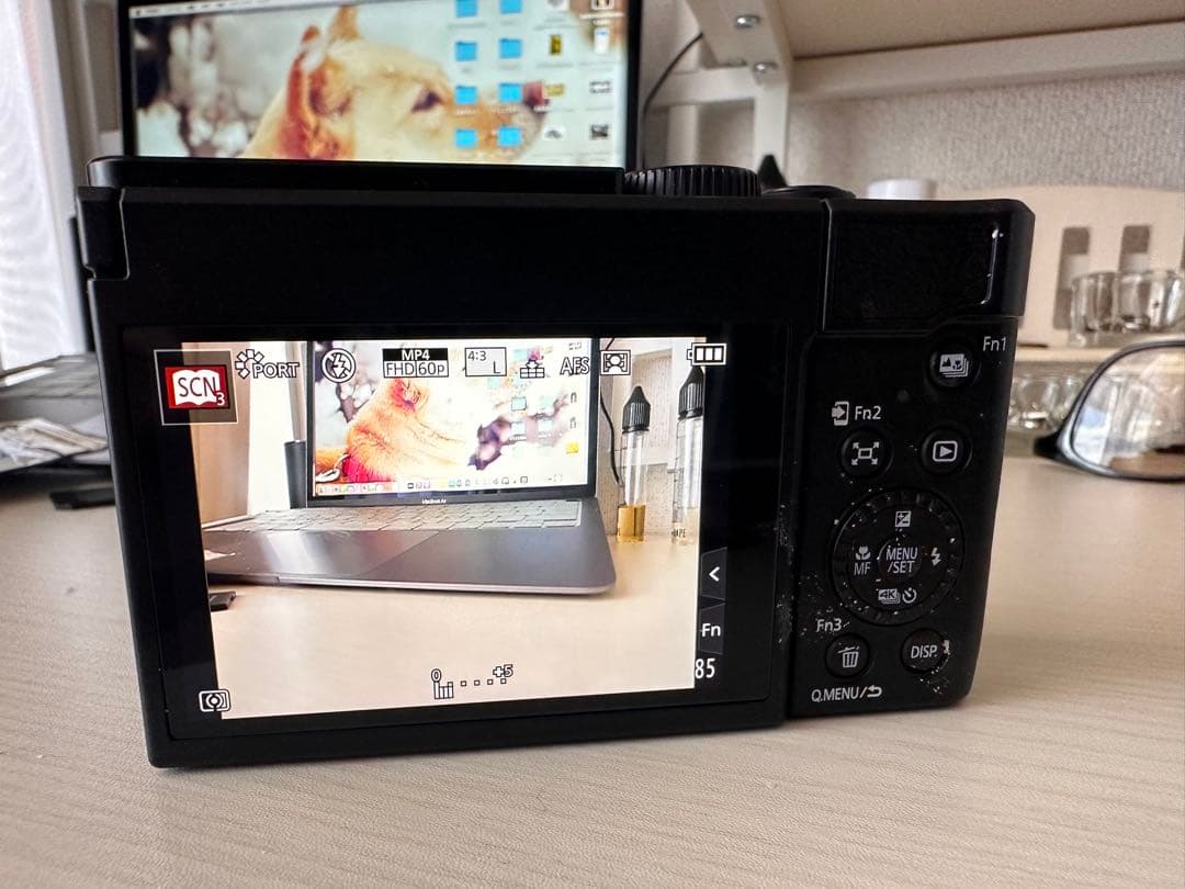 よ*1様 【美品】Panasonic LUMIX DC-TZ99 コンパクトデジ