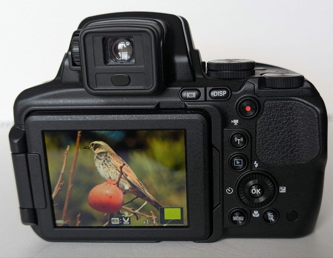 Nikon COOLPIX P900 本体と付属品