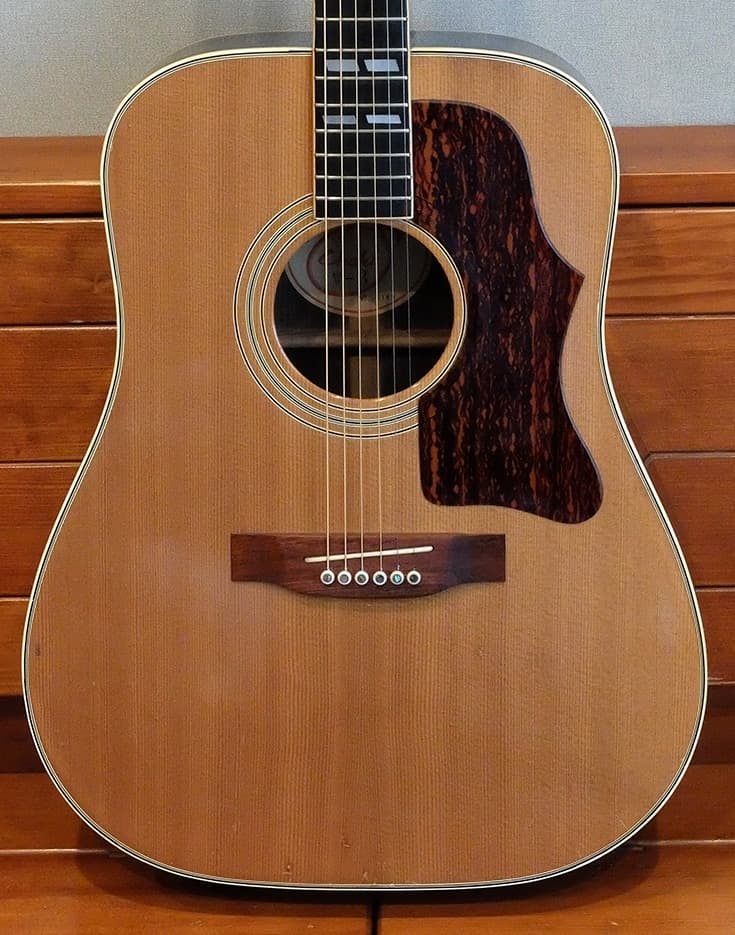 Chaki W-3 茶木弦楽器製作所 70年代 瀑鳴り 希少超人気 本体