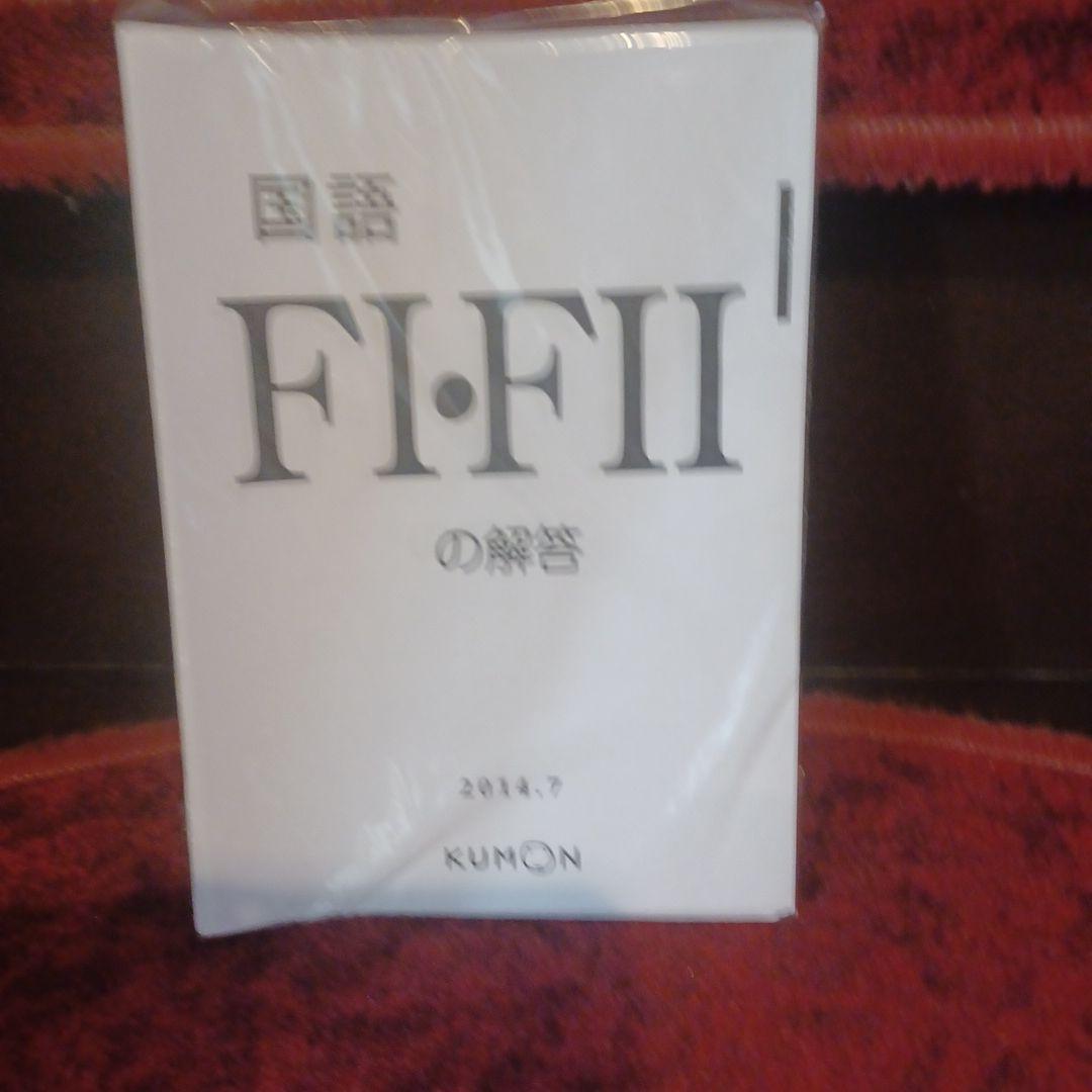 未記入　国語　F1FⅡ　400枚　解答つき