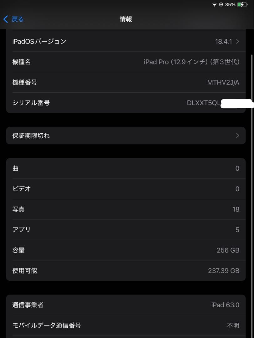 iPad Pro 12.9 Wi-Fi Cellular 256GB ペンシル付