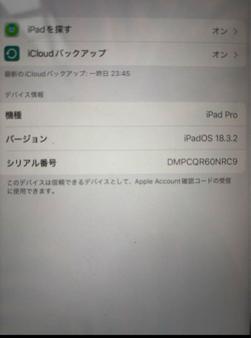 第二世代AppleiPad Pro(11インチ)258GB 充電器付き