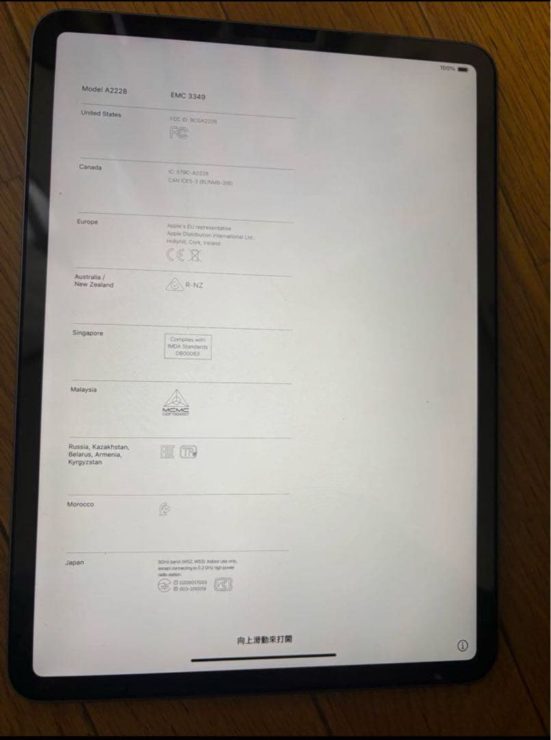 第二世代AppleiPad Pro(11インチ)258GB 充電器付き