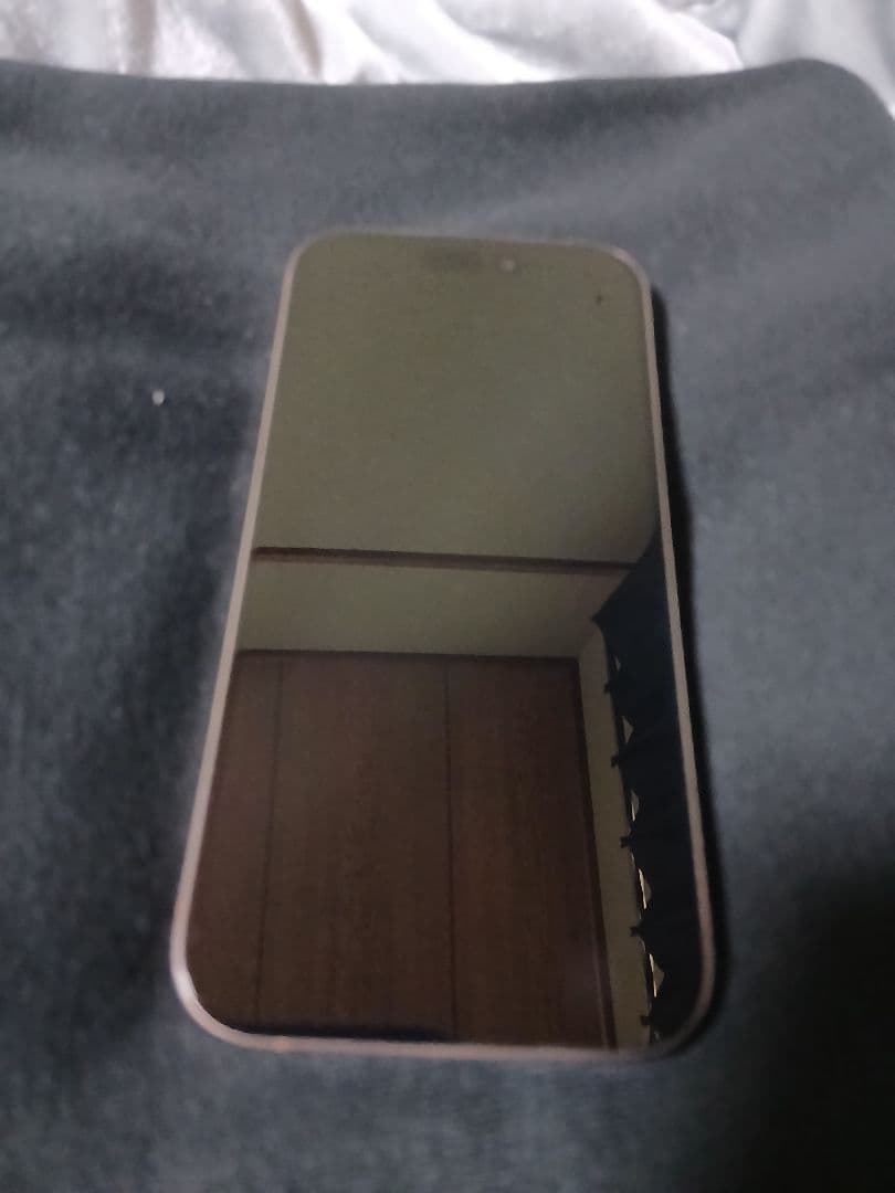 iPhone 16 Pro 256GB 部品取り用