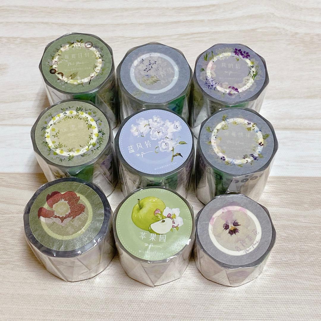 c*☻様 野苺③ 海外 マスキングテープ 装飾マステ 花柄 ボタニカル 新品セッ