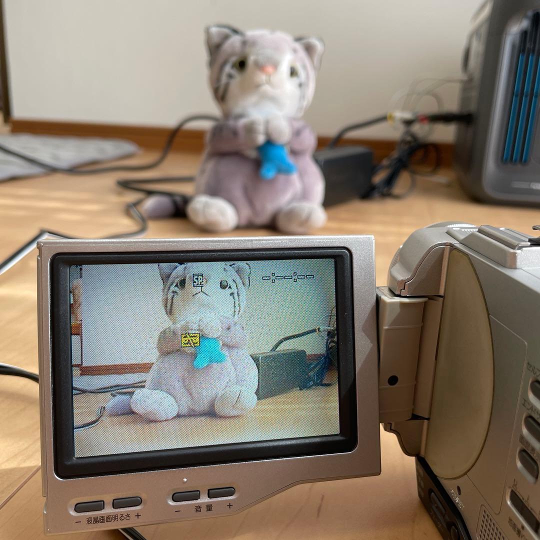 SONY ハンディカム　DCR-TRV8K