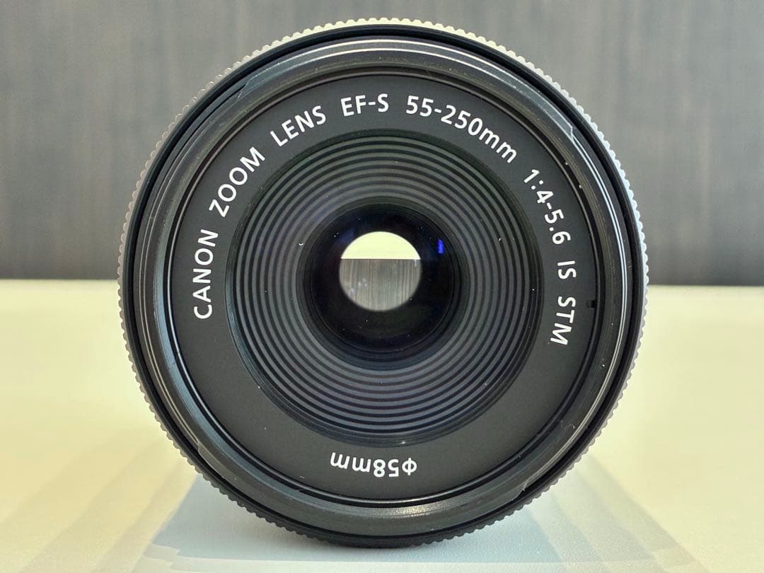 Canon EF-S 55-250mm F4-5.6 IS STM 極美品