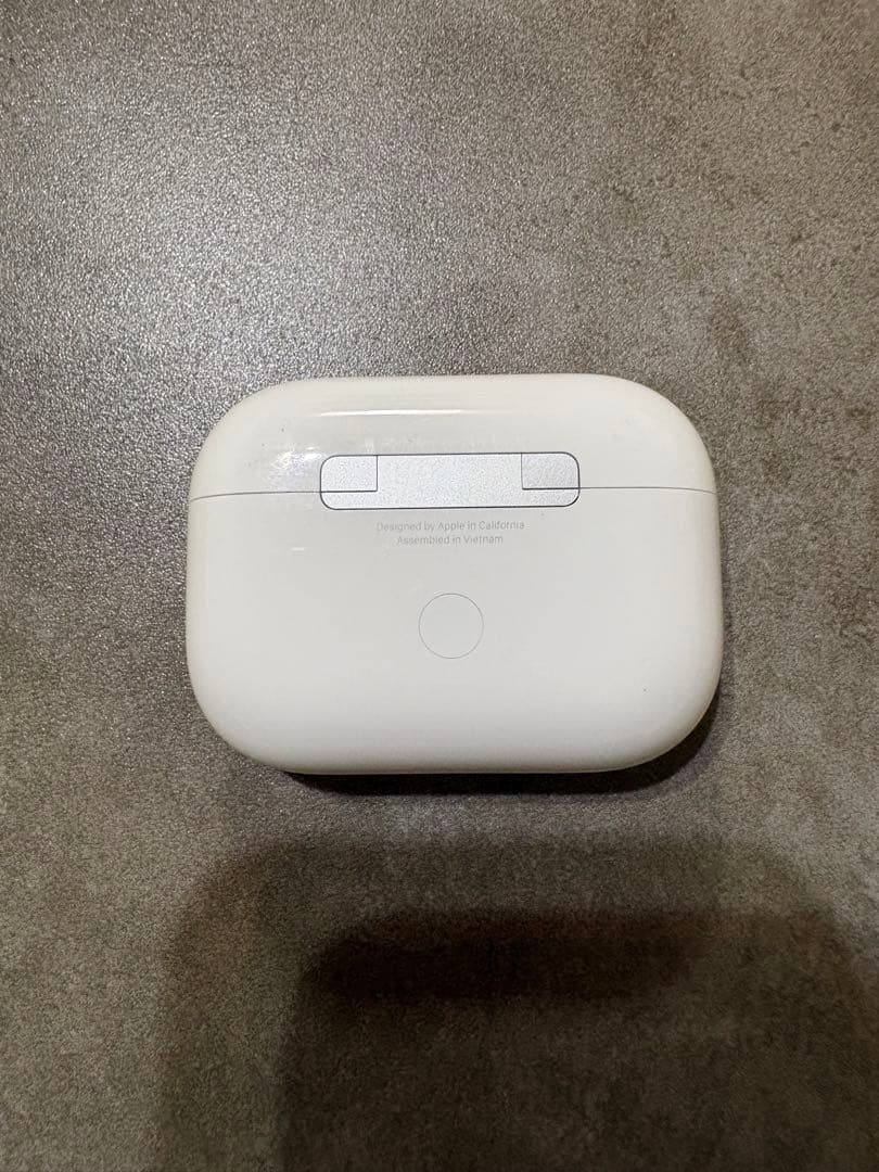 た*こ様 Apple AirPodsPro2 Type-Cケース おまけ付き 初