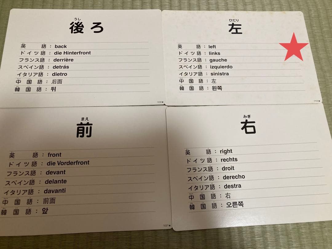 七田式 フラッシュカード かな絵ちゃん BCセット 8カ国語版