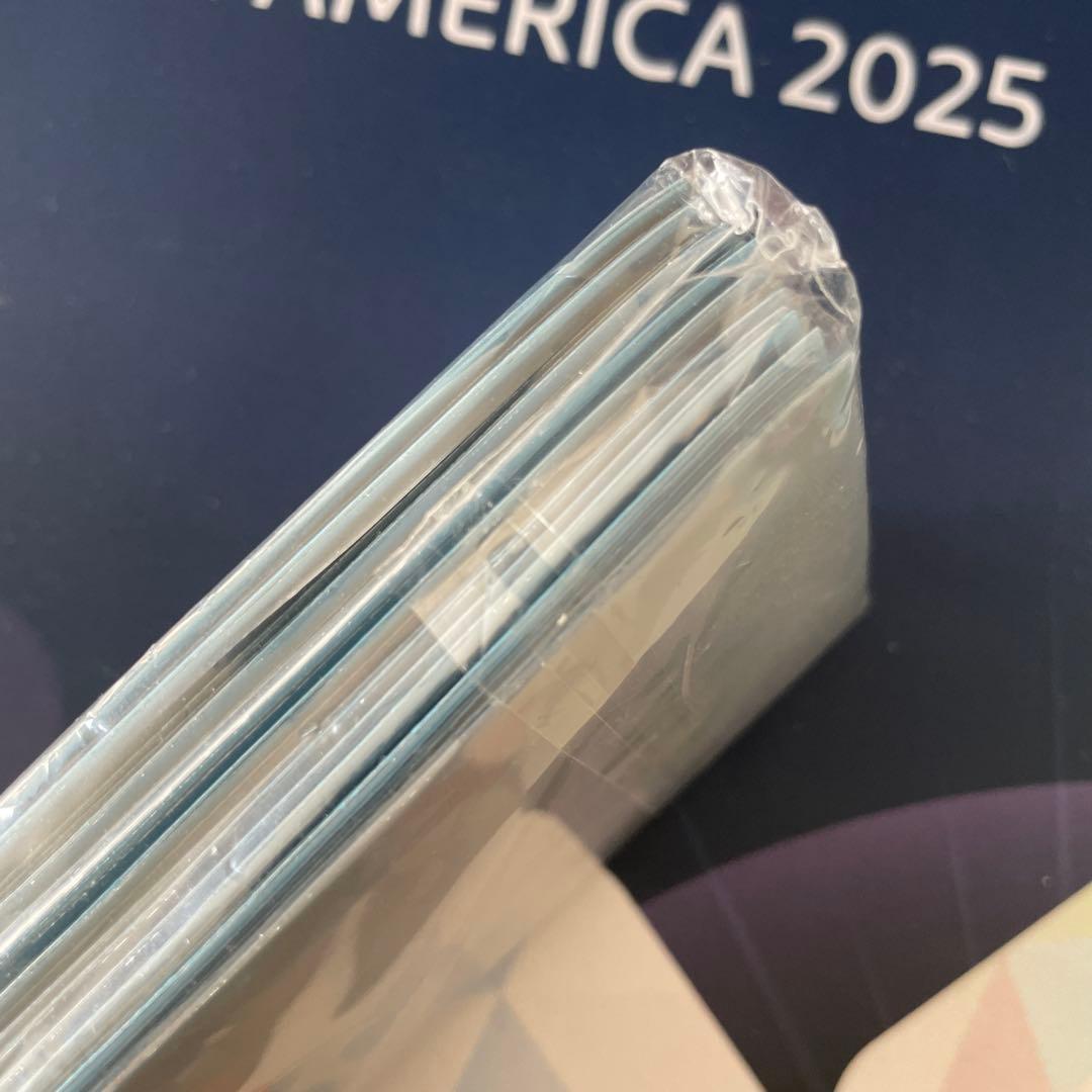 【1/16値下げ】ポケモンカードゲーム　デッキシールド　スリーブ　ルチア