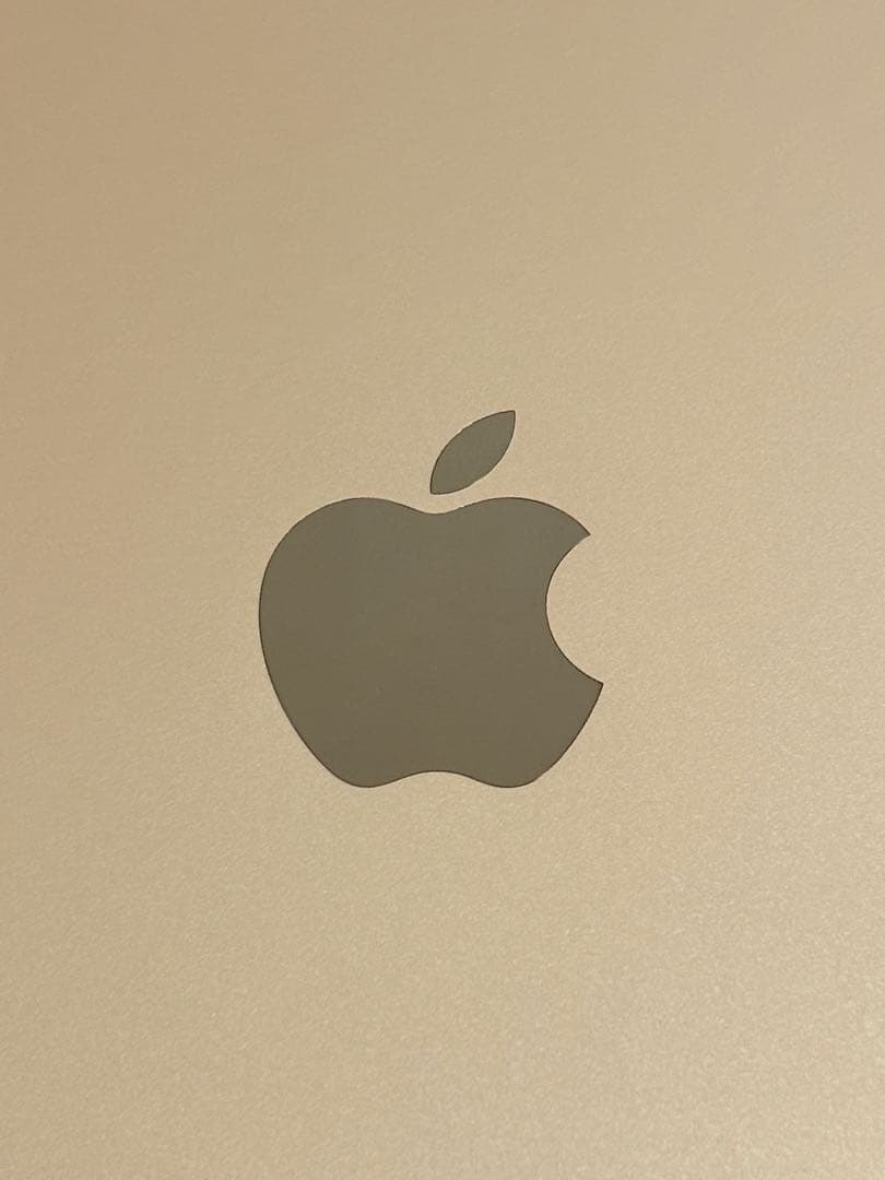 iPad Air 第3世代 64GB Wi-Fi ゴールド 美品 動作確認済