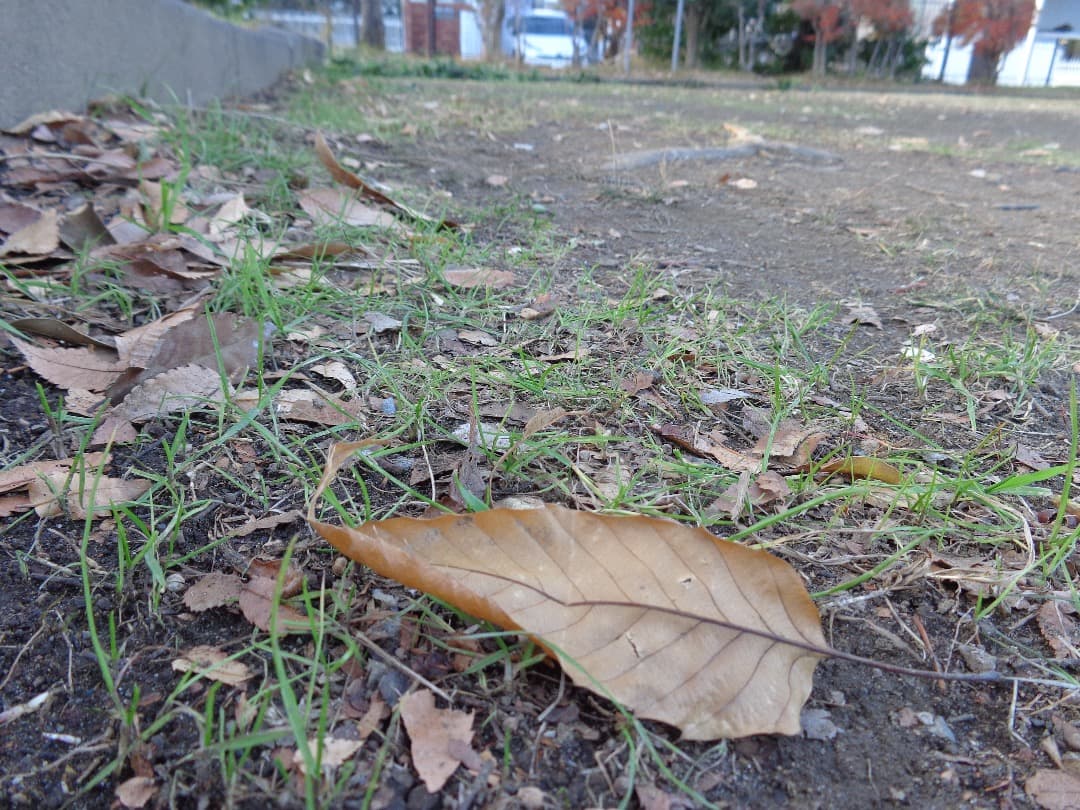 追加有り⭕️【動作確認済み】 SONY Cyber−Shot DSC-W730