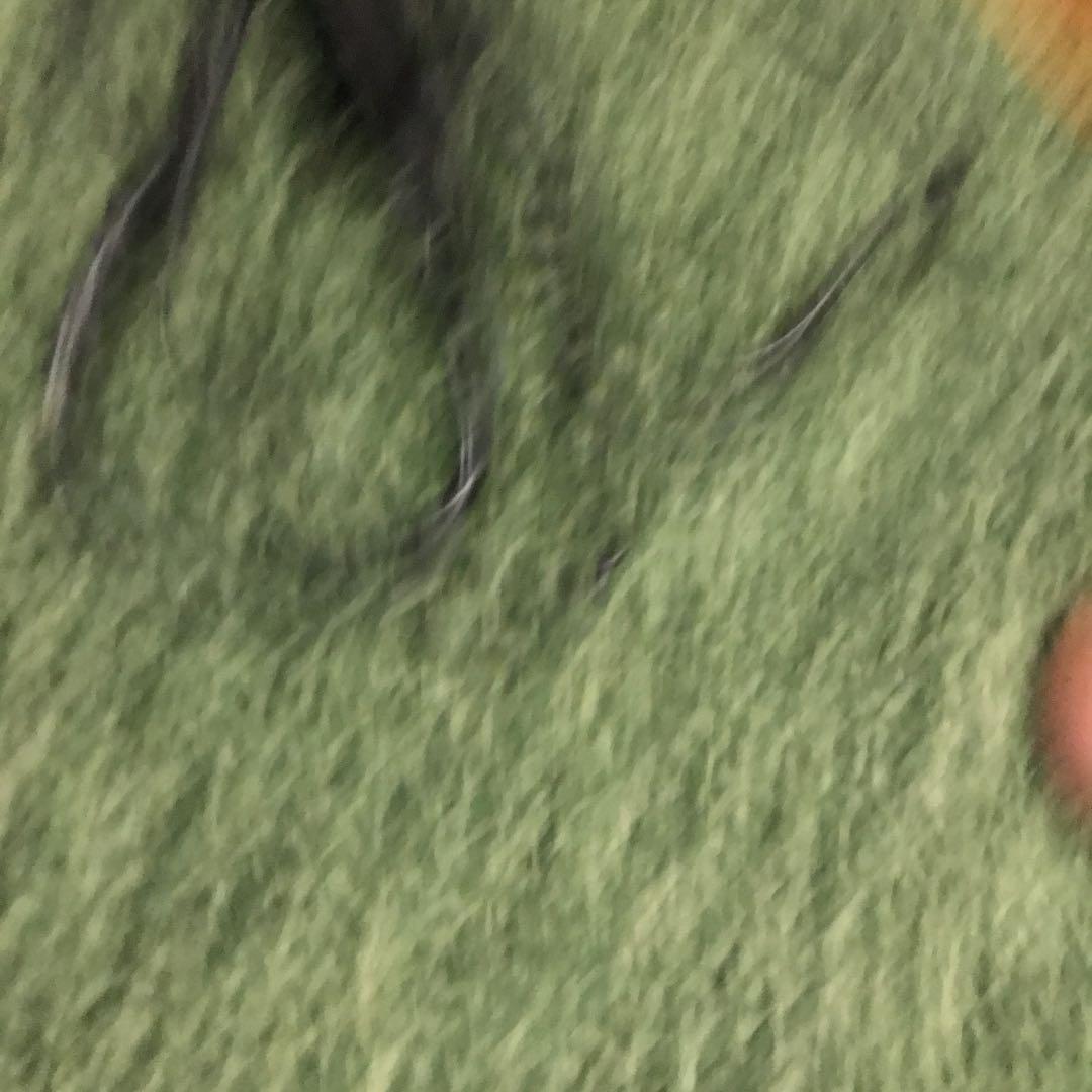 ASUSノートパソコン【電源、ボタンの動作確認】