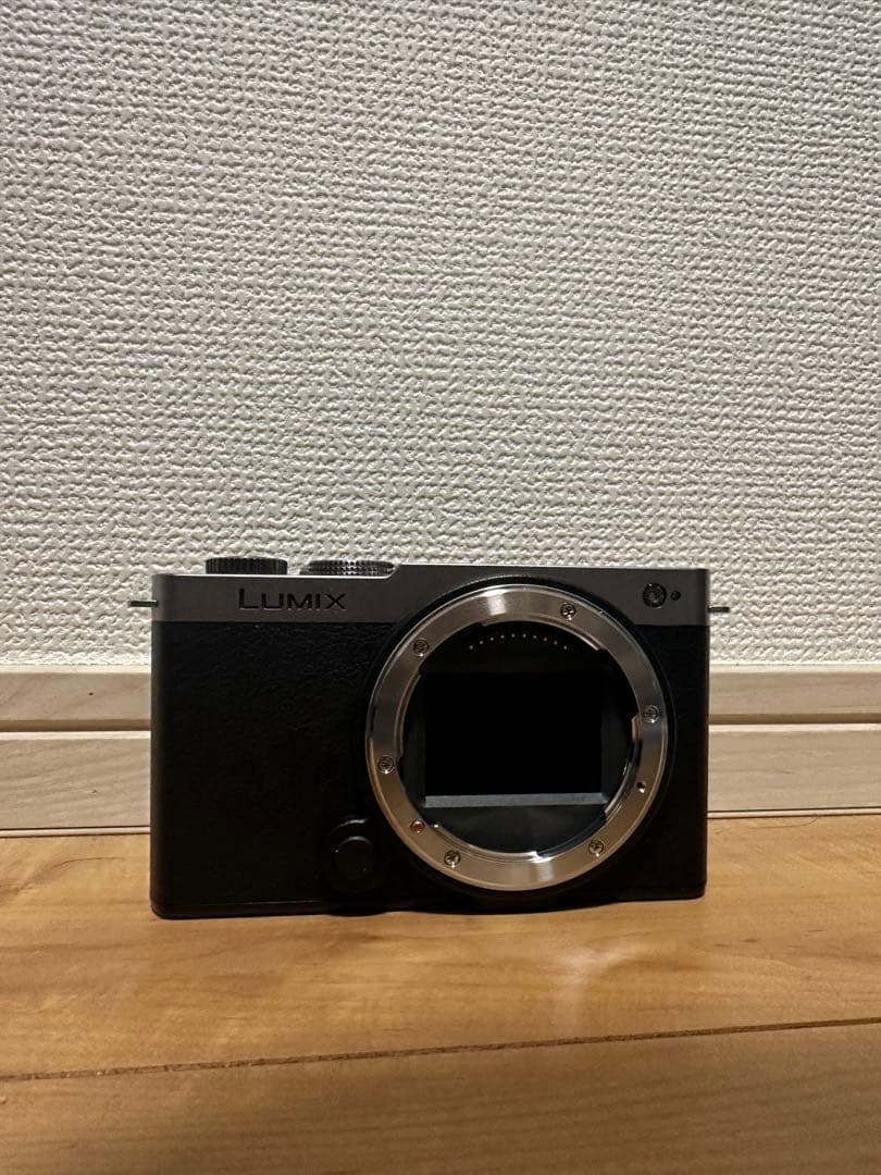 LUMIX S9 ミラーレス一眼 20-60mm