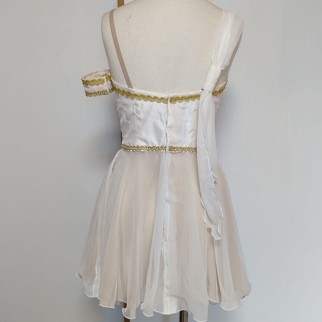 「たろう様」 リメイク・バレエ衣装／ジョーゼット／シルビア／8号？